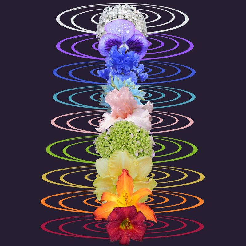 Chakra Raíz (Muladhara) y la Seguridad Financiera