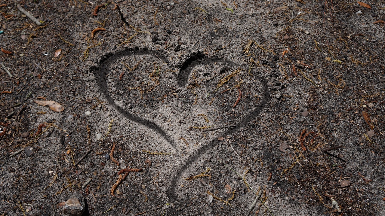 1111: Código para abrirse a nuevas oportunidades - Guía Agesta – imagen 1 Imagen relacionada con 1111: Código para abrirse a nuevas oportunidades - Guía Agesta