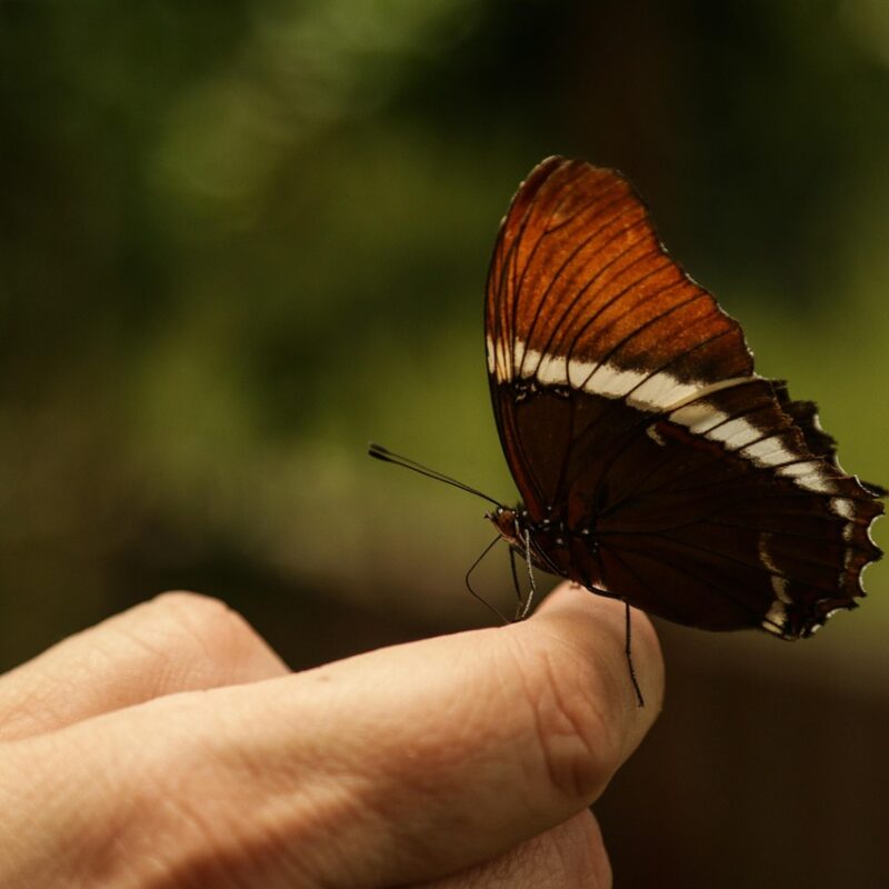 Imagen relacionada con Millones Sienten Electricidad en las Manos HOY: No es Estática, es la Activación del Cuerpo de Luz