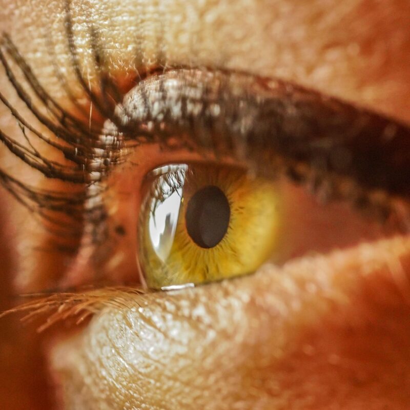 Imagen relacionada con Visión remota para principiantes: el ejercicio de 10 minutos que abre tu percepción más allá del cuerpo