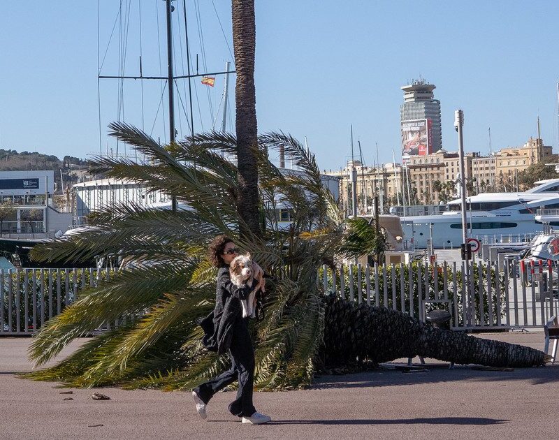 ajs0SMKtC 1200x630 1