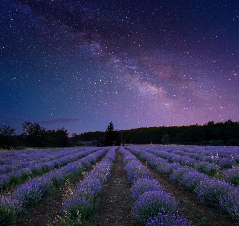 Imagen relacionada con Los Números Sagrados de Agesta: El Código Oculto que Activa la Energía del Universo