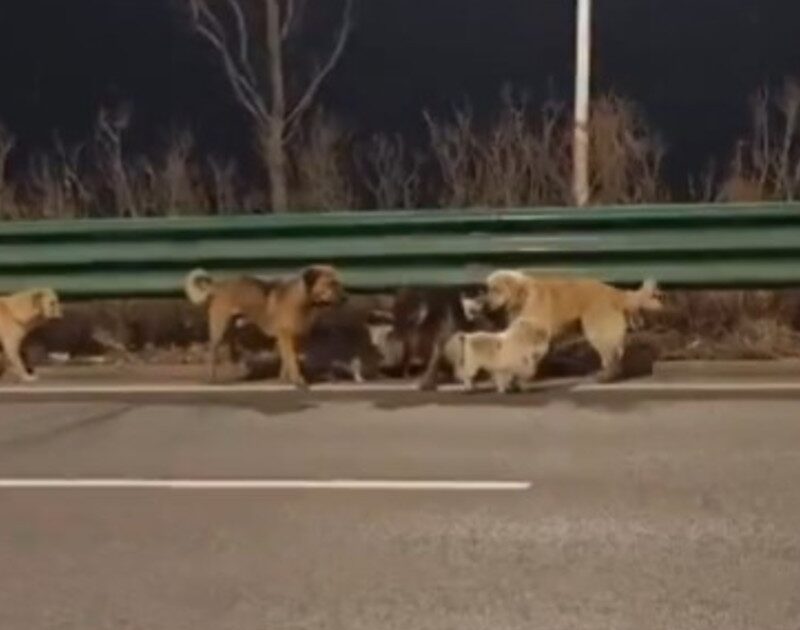 GHNUJgWMt 1200x630 1